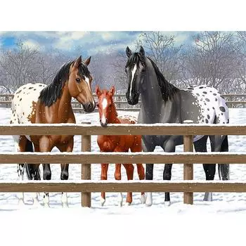 5D DIY Алмазная картина Снежная лошадь Семья Алмазная вышивка Полный мозаичный набор Наборы для вышивки крестом Домашний декор Подарки ручной работы Round 20x30cm