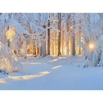 5D DIY Алмазная картина Снежная сцена Набор для вышивки крестом Мозаика Алмазная вышивка Роза Полный круглый/квадратный дрель Украшение дома Round 20x30cm