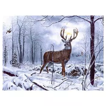 5D Diy Алмазная картина Снежный олень Алмазная вышивка Наборы для вышивки крестом Домашний декор Подарок ручной работы Round 20x30cm