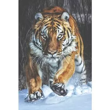 5D Diy Алмазная картина Снежный Тигр Алмазная вышивка Крестом Домашний декор Подарки ручной работы Round 20x30cm