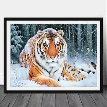 5D DIY Алмазная картина со стразами 1 шт. 11,8x15,7 дюймов, набор для рисования алмазами со стразами, набор для рисования с бриллиантами Round drill 30x40cm