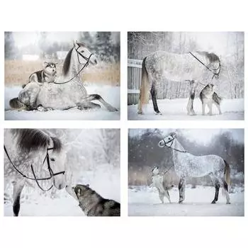 5D DIY Алмазная картина со стразами, животное, художественная картина, полная круглая Алмазная вышивка, набор для вышивки крестом, домашний декор, подарки Full Round 20x30CM