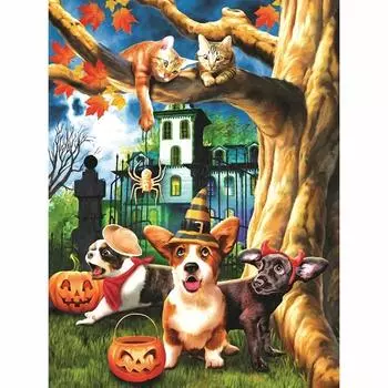 5D DIY Алмазная картина Собака и кошка Набор для вышивки крестом Мозаика Алмазная вышивка Роза Полный круглый/квадратный дрель Украшение дома Round 20x30cm