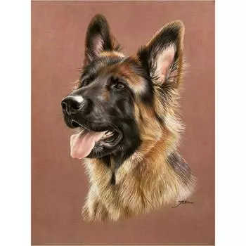 5D DIY Алмазная картина собака Набор для вышивки крестом Мозаика Алмазная вышивка Роза Полный круглый/квадратный дрель Украшение дома Round 20x30cm