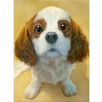 5D DIY Алмазная картина собака Набор для вышивки крестом Мозаика Алмазная вышивка Роза Полный круглый/квадратный дрель Украшение дома Round 20x30cm