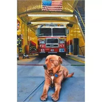 5D DIY Алмазная картина собака Набор для вышивки крестом Мозаика Алмазная вышивка Роза Полный круглый/квадратный дрель Украшение дома Round 20x30cm