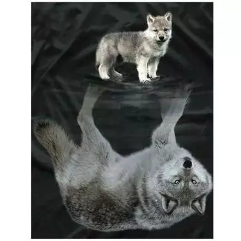 5D Diy Алмазная картина собака волк отражение Алмазная вышивка крестиком наклейка 20X30CM