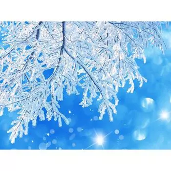 5D DIY Алмазная картина Сосулька на дереве Алмазная вышивка Крестом Горный хрусталь Картина 20X30CM