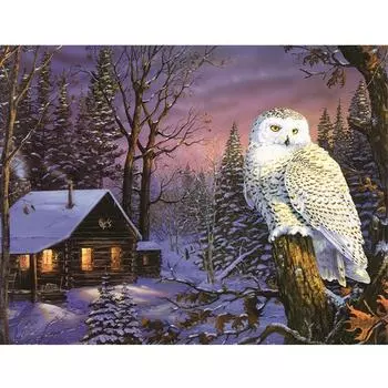 5D DIY Алмазная картина Сова Алмазная вышивка Полный набор мозаики Вышивка крестом Домашний декор Подарки ручной работы Round 20x30cm