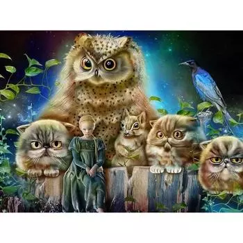 5D DIY Алмазная картина Сова и девушка Набор для вышивки крестиком Мозаика Алмазная вышивка Роза Полный круглый/квадратный дрель Украшение дома Round 20x30cm