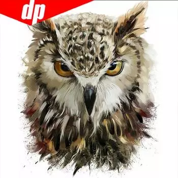 5D DIY Алмазная картина Сова Вышивка крестиком Красивая сова животное Рукоделие Главная Декоративные 30x30