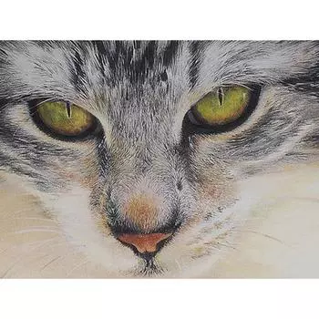 5D Diy Алмазная картина Свирепый кот Алмазная вышивка Крестом Домашний декор Подарки ручной работы Round 20x30cm