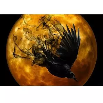 5D DIY Алмазная картина Танцующая ворона под луной Набор для вышивки крестом Мозаика Алмазная вышивка Роза Полный круглый/квадратный дрель Украшение дома Round 20x30cm