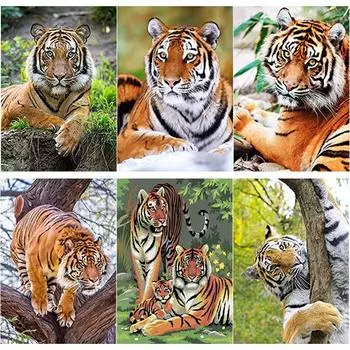 5D DIY Алмазная картина Тигр Алмазная вышивка Животные Пейзажи Вышивка крестиком Полный круглый дрель Домашний декор Ручной художественный подарок Full Round 15x20CM