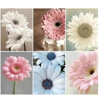 5D DIY Алмазная картина Тигр под голубым небом Алмазная вышивка Набор для вышивки крестом Полный горный хрусталь Мозаика Домашний декор Round 20x30cm