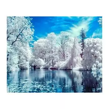 5D Diy Алмазная картина Тополь в снегу Алмазная вышивка Крестом Домашний декор Подарки ручной работы Round 20x30cm
