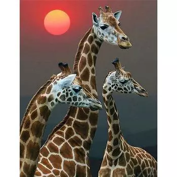 5D Diy Алмазная картина Три жирафа Алмазная вышивка Крестом Домашний декор Подарки ручной работы Round 20x30cm
