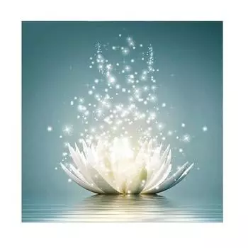 5D Diy Алмазная картина Вода Лотос Алмазная вышивка Круглый горный хрусталь Мозаика Цветок Вышивка крестиком Полный дизайн Домашние украшения 30X30cm