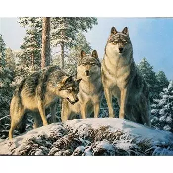 5D Diy Алмазная картина Волк пара животных Изображение Стразы Алмазная вышивка 20X30CM