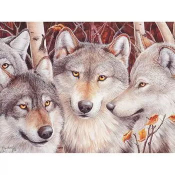 5d Diy Алмазная картина Волк Стразы Изображение Стразы Алмазная вышивка Алмазная мозаика 20X30CM