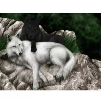 5D Diy Алмазная картина Волк Животное Изображение Стразы Алмазная вышивка Мозаика 20X30CM