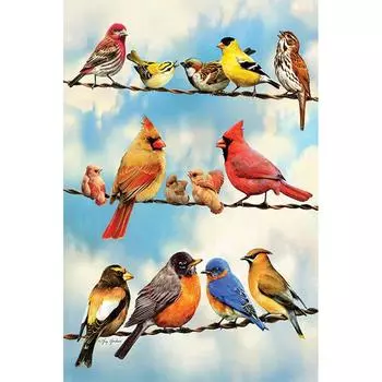 5D DIY Алмазная картина Все виды птиц Вышивка Крестом Горный хрусталь Мозаика Домашний декор 20X30CM