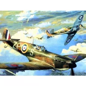 5D DIY Алмазная картина ВВС Алмазная вышивка Полный набор мозаики Вышивка крестом Домашний декор Подарки ручной работы Round 20x30cm