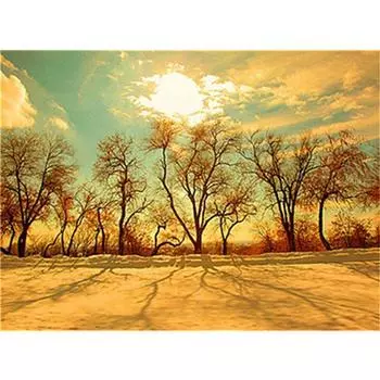 5D DIY Алмазная картина Вышивка Дерево Пейзаж Вышивка крестом Полный круглый Алмазная мозаика Домашний декор 20X30CM