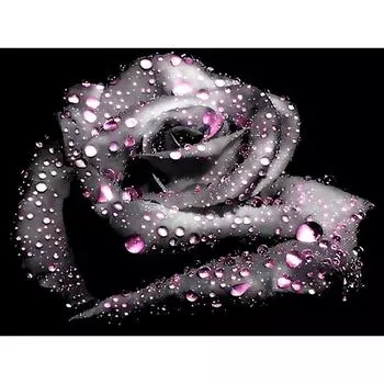 5D DIY Алмазная картина Вышивка крестом Черная роза Смола Алмазная вышивка Мозаика Ремесла Домашний декор Full Round 20x25CM