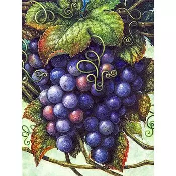 5d Diy Алмазная картина Вышивка крестом Фрукты Алмазная вышивка Алмазная мозаика Рукоделие 20X30CM