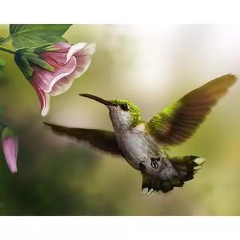 5D DIY Алмазная картина Вышивка крестом Колибри Rhinestone Вышивка Главная Украсить 20X30CM