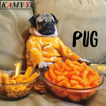 5D DIY Алмазная картина Вышивка крестом Милый ленивый мопс Горный хрусталь Вышивка Домашний декор 20X30CM