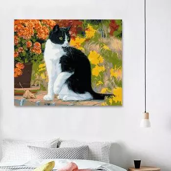 5D DIY Алмазная картина Вышивка крестом Полный круглый Алмазная вышивка Черный кот Картина Декор Картины 20X30CM