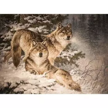 5D DIY Алмазная картина Вышивка крестом Полный круглый дрель Снежный волк Алмазная вышивка 20X30CM