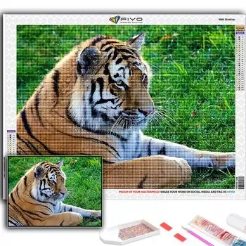 5D DIY Алмазная картина Вышивка крестом Животное Тигр Алмазная вышивка Мозаика Настенное украшение дома Full Round 20X30CM