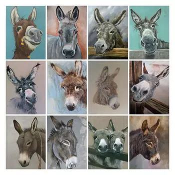 5D DIY Алмазная картина Забавное животное Осел Алмазная вышивка Набор для вышивки крестом Полный горный хрусталь Мозаика Домашний декор Round 20x30cm
