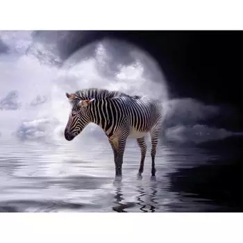 5D DIY Алмазная картина Зебра в воде Алмазная вышивка Мозаика Крест Стежок Горный хрусталь 20X30CM