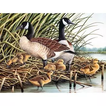 5D Diy Алмазная картина Женская утка и утенок Алмазная вышивка Крестом Домашний декор Подарки ручной работыjavascript: Round 20x30cm