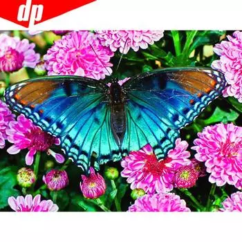 5D DIY Алмазная картина Животное Бабочка Полный круглый Вышивка Продажа Горный хрусталь Изображение 20X30