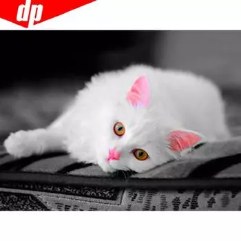 5D DIY Алмазная картина Животное Кошка Полная площадь Вышивка Продажа Горный хрусталь Картинки 20X30