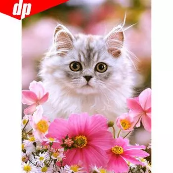 5D DIY Алмазная картина Животное Кошка Полная круглая вышивка Горный хрусталь Картинки 20X30