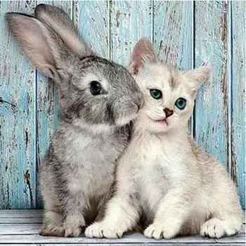 5D DIY Алмазная картина Животное Кролик и кошка Алмазная вышивка Алмазная мозаика Декор Домашний подарок 30X30CM