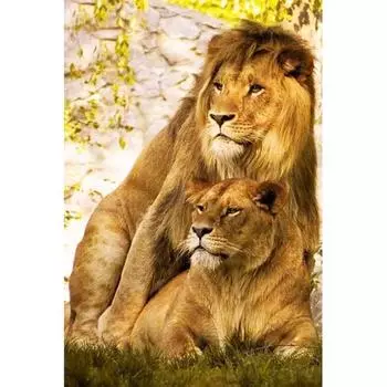 5D DIY Алмазная картина Животное Лев Алмазная вышивка Крест Стежок Главная Украшение 20X30CM