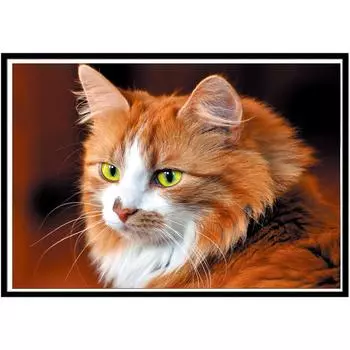 5D Diy Алмазная картина Животное Мозаика Картина Настраиваемая имитация вышивки крестом Ремесла Украшение дома 25x20cm