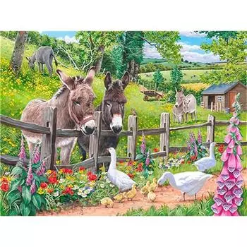 5D Diy Алмазная картина животное Осел Алмазная вышивка животное Гусь вышивка крестом Мозаика Комплект украшения дома Full Round 20x30CM