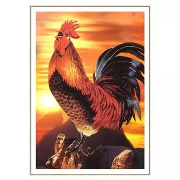 5D DIY Алмазная картина Животное Петух Полный Круглый Алмазная Вышивка Крестом Полный Круглый Алмазная Мозаика Декор Искусство Full Round 20x30CM