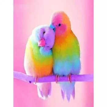 5D DIY Алмазная картина животное птица Алмазная вышивка картины стразами птица искусство мозаика домашний декор Full Round 20x30CM