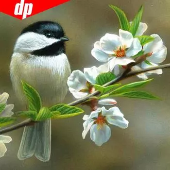 5D DIY Алмазная картина Животное Птица Стразы Изображение Полный круглый Алмазная вышивка 30x30