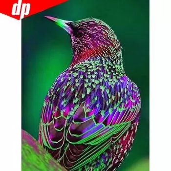 5D DIY Алмазная картина Животное Птица Вышивка Продажа Фотографии Стразы Полный дисплей Алмаз 20X30