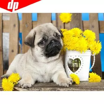 5D DIY Алмазная картина Животное Собака Полная круглая вышивка Продажа Горный хрусталь Изображение 20X30